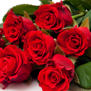 Red Roses