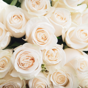 White Roses