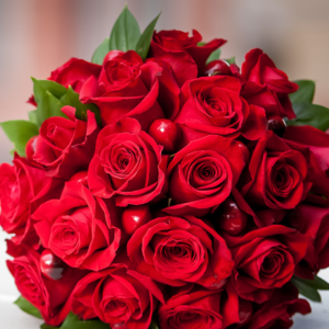 Red Baby Roses